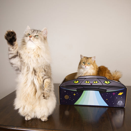 large cat scratcher, cardboard cat scratcher for indoor cats, enclosed cat scratcher, cat scratcher box, reversible cat scratcher, space-themed cat furniture, cat lounge scratcher, unique cat scratcher