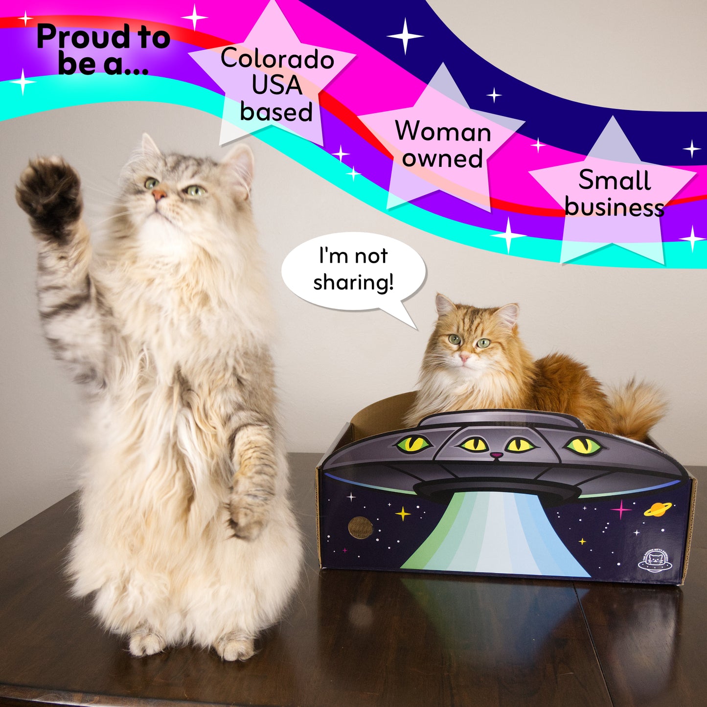 UFO Cat Scratcher Box